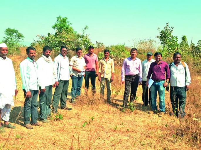 Akot: Researchers of Melghat made land survey | अकोट : मेळघाटातील पुनर्वसित गावकर्‍यांनी केली जमिनीची पाहणी