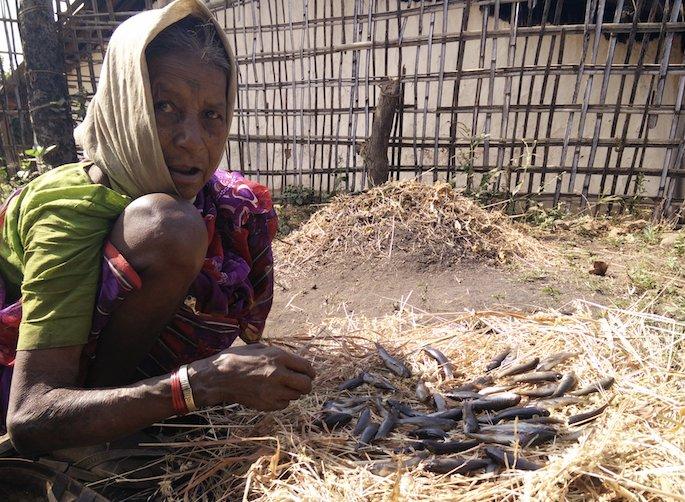  Lok Sabha Election 2019; Rehearsal of voting in Melghat | Lok Sabha Election 2019; मेळघाटात मतदानाची रंगीत तालीम