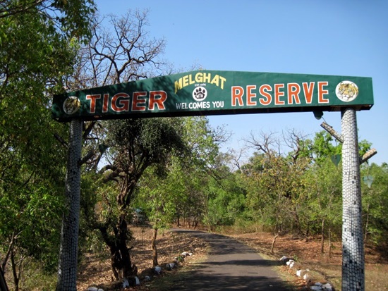 Amravati : East Melghat forest section is closed | चिखलदरातील पूर्व मेळघाट वनविभाग बंद Amravati : East Melghat forest section is closed | चिखलदरातील पूर्व मेळघाट वनविभाग बंद