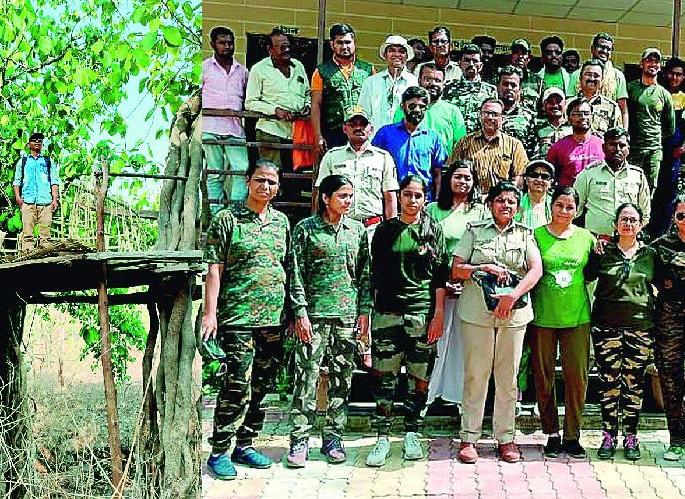 Machan Census in Melghat Tiger Reserve | वाघाची डरकाळी अन् रातकिड्यांची किरकिर; लख्ख चंद्रप्रकाशात पर्यटकांनी लुटला निसर्गानुभवाचा आनंद Machan Census in Melghat Tiger Reserve | वाघाची डरकाळी अन् रातकिड्यांची किरकिर; लख्ख चंद्रप्रकाशात पर्यटकांनी लुटला निसर्गानुभवाचा आनंद