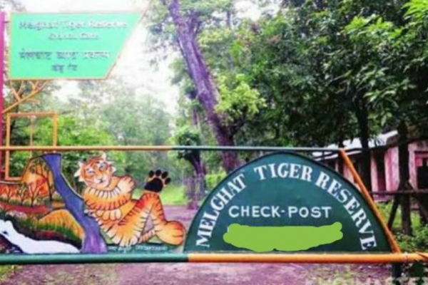 Chief Minister appeals to Railway Minister, Environment Minister for Melghat tiger reserve | "मेळघाट व्याघ्र प्रकल्पातून जाणारा रेल्वे मार्ग ब्रॉडगेज करू नका" मुख्यमंत्र्यांचे रेल्वेमंत्री, पर्यावरण मंत्र्यांना आवाहन Chief Minister appeals to Railway Minister, Environment Minister for Melghat tiger reserve | "मेळघाट व्याघ्र प्रकल्पातून जाणारा रेल्वे मार्ग ब्रॉडगेज करू नका" मुख्यमंत्र्यांचे रेल्वेमंत्री, पर्यावरण मंत्र्यांना आवाहन