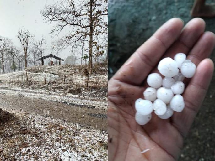 Kashmir, Shimla, Kullu-Manali are remembered for hailstorm | गारपीटीमुळे मेळघाट बनलंय काश्मीर, सिमला, कुलू-मनालीची आठवण