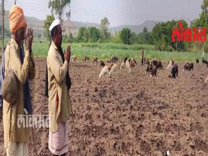 The farmers paid homage to Lokaraja Rajarshi Chhatrapati Shahu Maharaj | शेतकरी बांधवांनी वावरातून दिली लोकराजाला मानवंदना The farmers paid homage to Lokaraja Rajarshi Chhatrapati Shahu Maharaj | शेतकरी बांधवांनी वावरातून दिली लोकराजाला मानवंदना