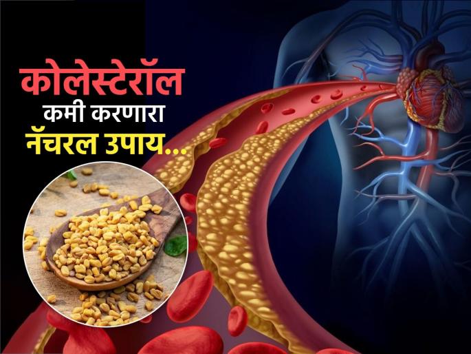 How fenugreek seeds beneficial for lowering high cholesterol | कोलेस्टेरॉल कमी करण्यासाठी वरदान ठरतात 'या' पिवळ्या बिया, टळेल हृदयरोग आणि डायबिटीसचा धोका