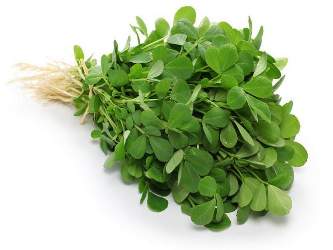 In the market of Nashik, fenugreek cost Rs. 3; Increased inward | नाशिकच्या बाजारात मेथी ३ रूपये प्रतिजुडी; आवक वाढली In the market of Nashik, fenugreek cost Rs. 3; Increased inward | नाशिकच्या बाजारात मेथी ३ रूपये प्रतिजुडी; आवक वाढली