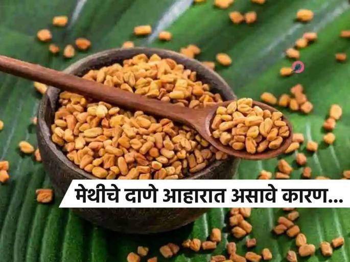 Bitter fenugreek seeds, remember this simple remedy to stay healthy, eat it daily in this way | मेथीचे ४ कडू दाणे, खा न सांगता कुठलेही बहाणे! तब्येत धडधाकट ठेवण्याचा सोपा उपाय लक्षात ठेवा..