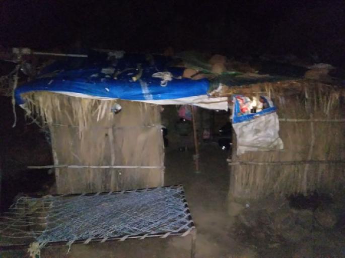 The sixth of the carnivorous leopard, the woman sleeping at Warkhede lifted her with a leopard | नरभक्षक बिबट्याचा सहावा बळी, वरखेडे येथे झोपेत असलेल्या महिलेल्या झोपेतून बिबट्याने उचलून नेले The sixth of the carnivorous leopard, the woman sleeping at Warkhede lifted her with a leopard | नरभक्षक बिबट्याचा सहावा बळी, वरखेडे येथे झोपेत असलेल्या महिलेल्या झोपेतून बिबट्याने उचलून नेले