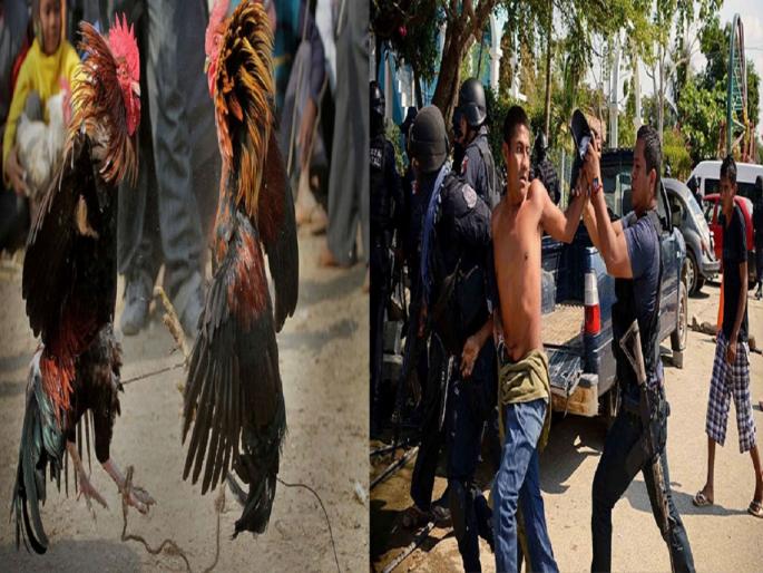 mexico mass shooting at least 19 killed at cockfighting row in michoacan | मॅक्सिको सिटीमध्ये कोंबड्यांच्या झुंजीदरम्यान गोळीबार, 19 जणांचा मृत्यू  mexico mass shooting at least 19 killed at cockfighting row in michoacan | मॅक्सिको सिटीमध्ये कोंबड्यांच्या झुंजीदरम्यान गोळीबार, 19 जणांचा मृत्यू