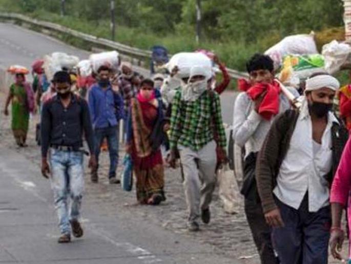 Flow of labor in Pathur, Barshitakali taluka | पातूर, बार्शीटाकळी तालुक्यात मजुरांचा ओघ Flow of labor in Pathur, Barshitakali taluka | पातूर, बार्शीटाकळी तालुक्यात मजुरांचा ओघ