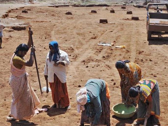 Distribution of Rs 285 crore to MGNREGA workers in 'Lockdown' | ‘लॉकडाऊन’मध्ये मनरेगातून श्रमिकांना २८५ कोटींचे वाटप