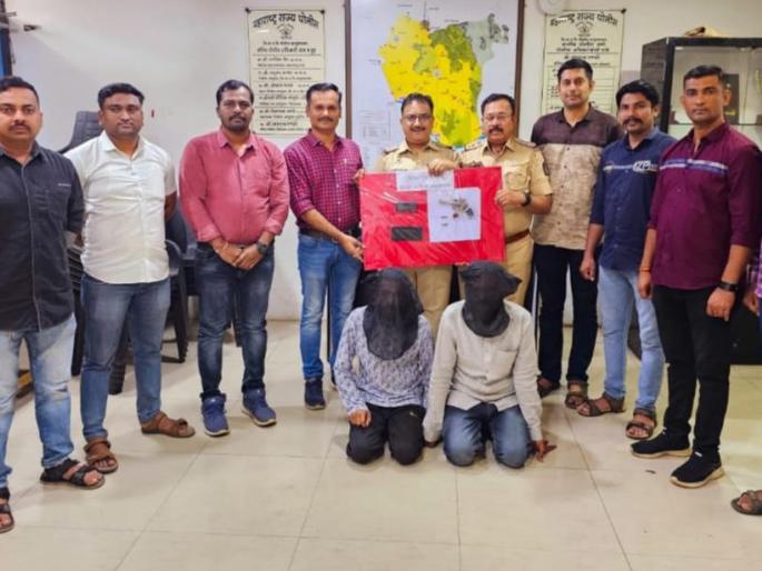Two arrested with two live cartridges; Gavathi pistol was also seized | दोन जिवंत काडतुसांसह दोघांना अटक; गावठी पिस्तुलही जप्त Two arrested with two live cartridges; Gavathi pistol was also seized | दोन जिवंत काडतुसांसह दोघांना अटक; गावठी पिस्तुलही जप्त