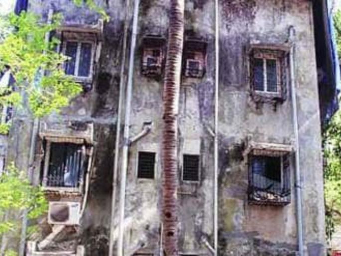 Residents of 96 highly dangerous buildings of MHADA will get monthly rent | Mumbai: म्हाडाच्या ९६ अतिधोकादायक इमारतींतील रहिवाशांना महिन्याला भाडे मिळणार! Residents of 96 highly dangerous buildings of MHADA will get monthly rent | Mumbai: म्हाडाच्या ९६ अतिधोकादायक इमारतींतील रहिवाशांना महिन्याला भाडे मिळणार!
