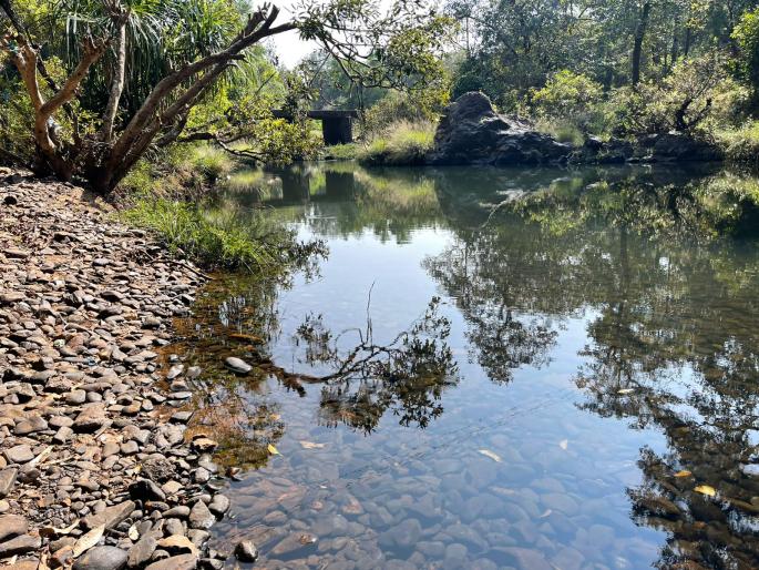 mhadei river issue will heat up in the goa assembly opposition mla are aggressive | म्हादई प्रश्न विधानसभेत तापणार; विरोधी आमदार आक्रमक, सरकारच्या अपयशाबद्दल टीका mhadei river issue will heat up in the goa assembly opposition mla are aggressive | म्हादई प्रश्न विधानसभेत तापणार; विरोधी आमदार आक्रमक, सरकारच्या अपयशाबद्दल टीका