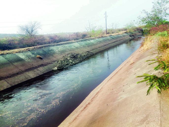 Twenty-four hours at the rate of 5 thousand water | म्हैसाळ योजनेचे पाणी हवे असेल तर चोवीस तासाला ५१ हजार पाण्याचा दर Twenty-four hours at the rate of 5 thousand water | म्हैसाळ योजनेचे पाणी हवे असेल तर चोवीस तासाला ५१ हजार पाण्याचा दर