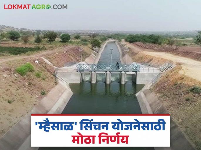 This is a big decision of the Cabinet to increase the efficiency of the Mhaisal Upsa Irrigation Scheme; Read in detail | म्हैसाळ उपसा सिंचन योजनेची कार्यक्षमता वाढविण्यासाठी मंत्रिमंडळाचा हा मोठा निर्णय; वाचा सविस्तर This is a big decision of the Cabinet to increase the efficiency of the Mhaisal Upsa Irrigation Scheme; Read in detail | म्हैसाळ उपसा सिंचन योजनेची कार्यक्षमता वाढविण्यासाठी मंत्रिमंडळाचा हा मोठा निर्णय; वाचा सविस्तर