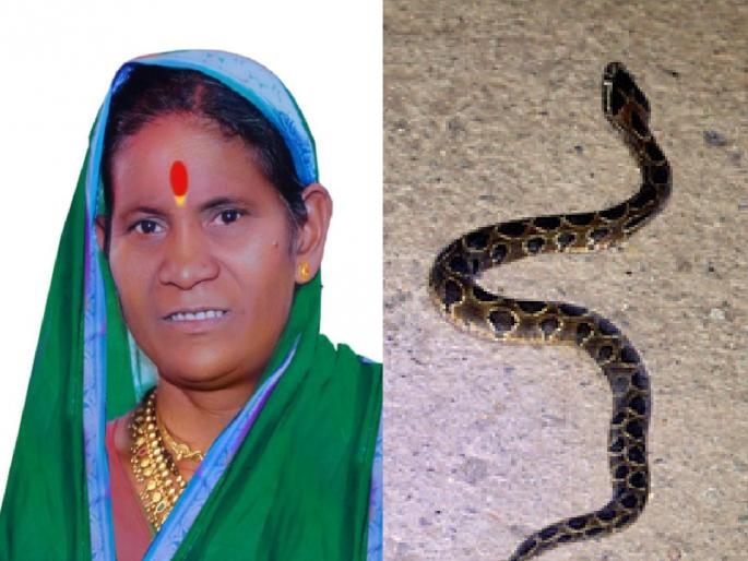 Woman dies of snakebite in Mhakwe Kolhapur | Kolhapur: म्हाकवेतील महिलेचा सर्पदंशाने मृत्यू Woman dies of snakebite in Mhakwe Kolhapur | Kolhapur: म्हाकवेतील महिलेचा सर्पदंशाने मृत्यू