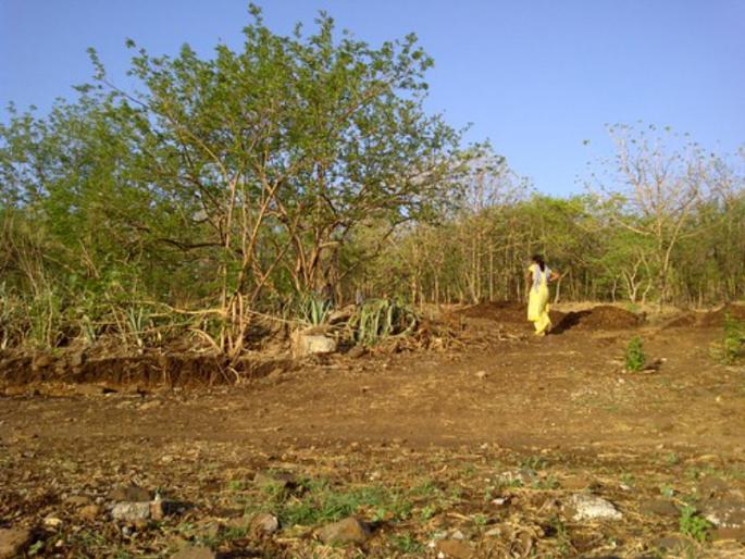 A fine of Rs 500 will be levied for placing plastic on Mhatoba hill in Pune city | पुणे शहरातील 'या' टेकडीवर प्लास्टिक टाकल्यास होणार ५०० रूपये दंड A fine of Rs 500 will be levied for placing plastic on Mhatoba hill in Pune city | पुणे शहरातील 'या' टेकडीवर प्लास्टिक टाकल्यास होणार ५०० रूपये दंड