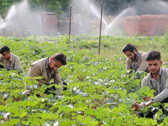 Mool will do the best agricultural college in the state | मूल येथे राज्यातील सर्वोत्कृष्ट कृषी महाविद्यालय करणार Mool will do the best agricultural college in the state | मूल येथे राज्यातील सर्वोत्कृष्ट कृषी महाविद्यालय करणार