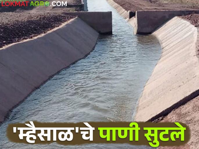 Mhaisal Lift Irrigation : Water finally released from the canal of Mhaisal Irrigation Scheme | Mhaisal Lift Irrigation : म्हैसाळ सिंचन योजनेच्या कालव्यातून अखेर जतला पाणी सुटले Mhaisal Lift Irrigation : Water finally released from the canal of Mhaisal Irrigation Scheme | Mhaisal Lift Irrigation : म्हैसाळ सिंचन योजनेच्या कालव्यातून अखेर जतला पाणी सुटले