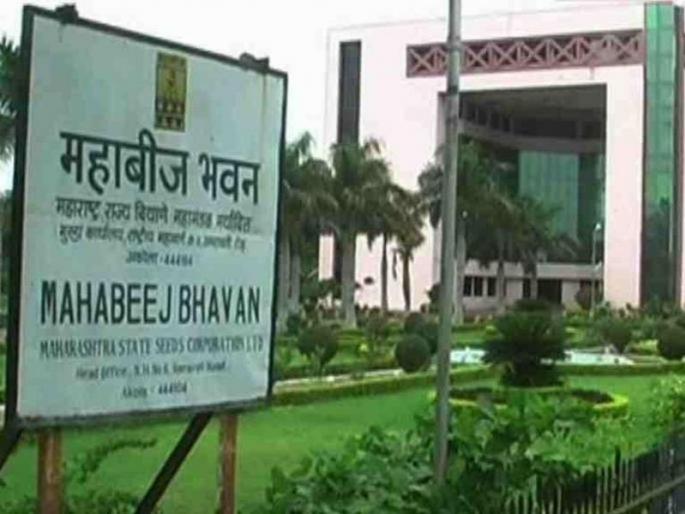 Washim: 305 seed growers of Mahabeej in the district are blacklisted | वाशिम: जिल्ह्यात महाबीजचे ३०५  बीजोत्पादक काळ्या यादीत