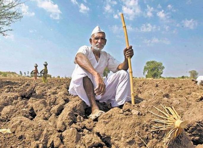 25,000 farmers in Buldana district are still deprived of loan waiver benefits | बुलडाणा जिल्ह्यातील २५ हजार शेतकरी अद्यापही कर्जमाफीच्या लाभापासून वंचित