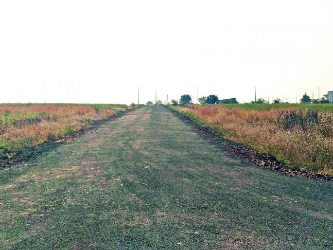 Sangli: Fire Station in Miraj Industrial Colony within 10 days: District Collector Vijay Kalam-Patil | सांगली : मिरज औद्योगिक वसाहतीमध्ये दहा दिवसात अग्निशमन केंद्र :जिल्हाधिकारी विजय काळम-पाटील