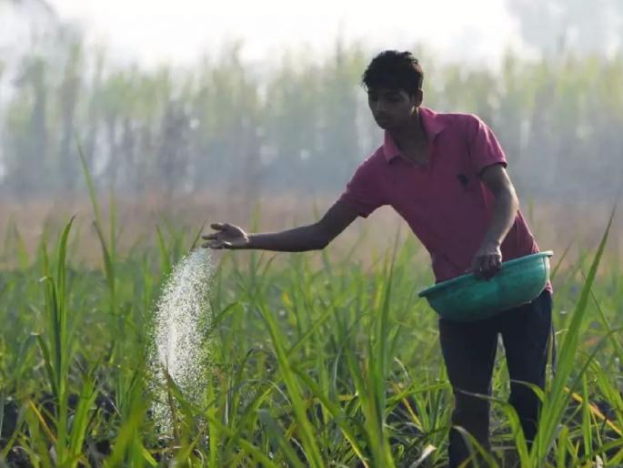 Central government to stop production of mixed fertilizer, pressure from private companies | ‘मिश्र’ खताचे उत्पादन बंद करण्याचा केंद्र सरकारचा घाट, खासगी कंपन्यांचा दबाव Central government to stop production of mixed fertilizer, pressure from private companies | ‘मिश्र’ खताचे उत्पादन बंद करण्याचा केंद्र सरकारचा घाट, खासगी कंपन्यांचा दबाव