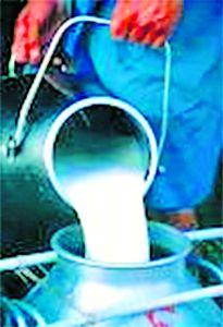 Milk and water at the same cost! | दूध आणि पाणी एकाच किमतीत !