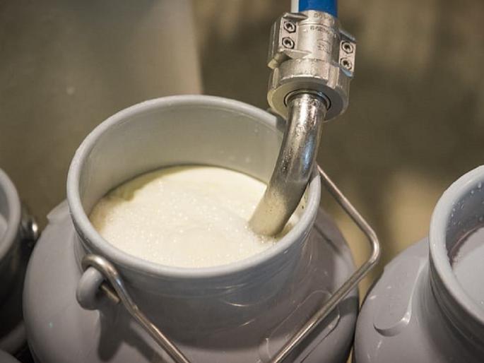 If you adulterate milk, you will go to jail | दूध भेसळ कराल तर कोठडीत जाल If you adulterate milk, you will go to jail | दूध भेसळ कराल तर कोठडीत जाल