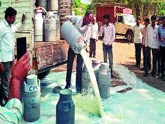 Makanasar A-2 organic milk that will emerge from Palghar | पालघरमधून उदयास येणार माकुणसार ए-२ जैविक दूध