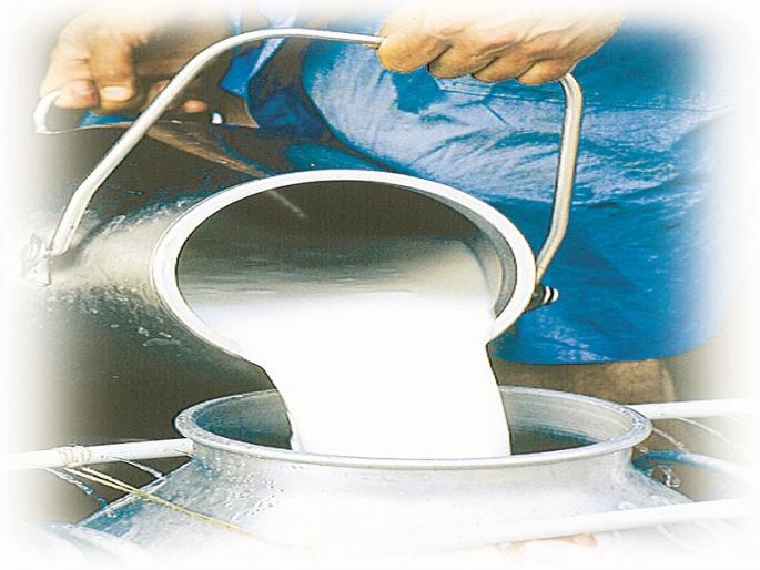 Financial incentives from dairy business | दुग्ध व्यवसायातून आर्थिक उन्नती