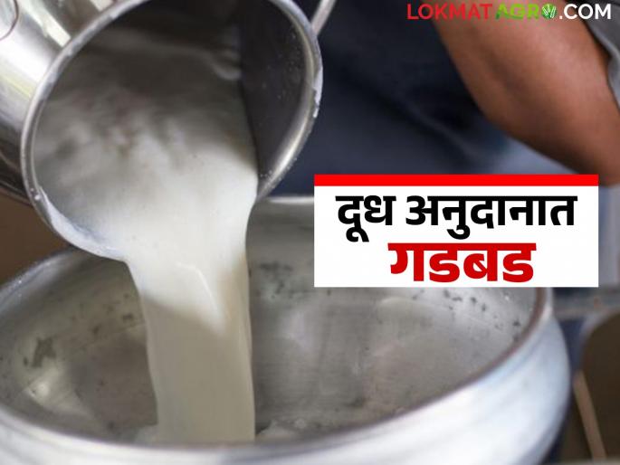 Dudh Anudan : Big mess in milk subsidy; Inspection of 258 milk institutes in these three districts begins | Dudh Anudan : दूध अनुदानात मोठी गडबड; या तीन जिल्ह्यातील २५८ दूध संस्थांची तपासणी सुरू