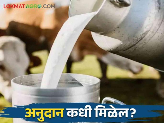 Dudh Anudan: Subsidy of milk producers stopped, 90 percent farmers in waiting | Dudh Anudan : दूध उत्पादकांचे अनुदान रखडले ९० टक्के शेतकऱ्यांना प्रतीक्षा