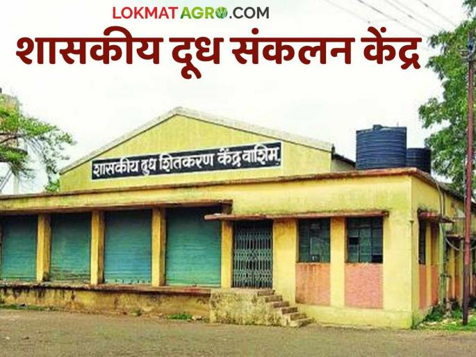 Milk Anudan: Cattle farmers deprived of government incentive scheme! | Milk Anudan : शासनाच्या प्रोत्साहन योजनेपासून पशुपालक वंचित !