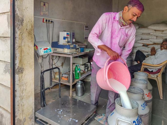 The perishability of milk is over; So why not a guarantee price?; Need for long-term solutions | दुधाची नाशवंतता संपली; मग हमीभाव का नाही?; दीर्घकालीन उपाय करण्याची आवश्यकता The perishability of milk is over; So why not a guarantee price?; Need for long-term solutions | दुधाची नाशवंतता संपली; मग हमीभाव का नाही?; दीर्घकालीन उपाय करण्याची आवश्यकता