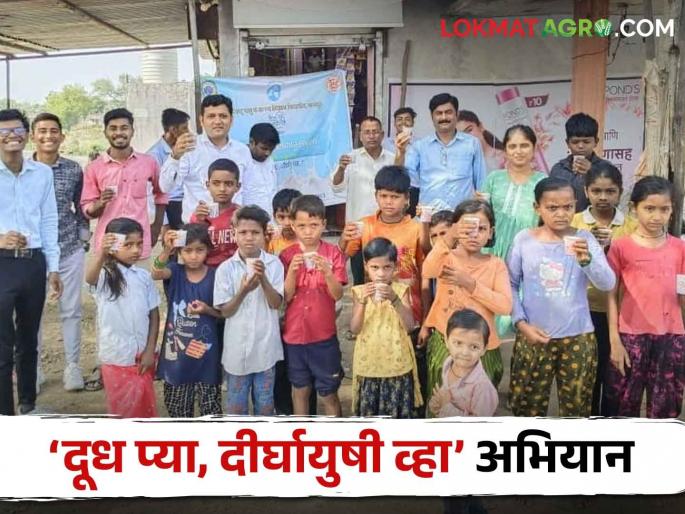 Latest News Campaign from MAFSU to increase awareness about milk see benefits of milk | Milk Campaign : माफसूकडून ‘दूध प्या, दीर्घायुषी व्हा’ अभियान, दुधाचे फायदे काय आहेत?  Latest News Campaign from MAFSU to increase awareness about milk see benefits of milk | Milk Campaign : माफसूकडून ‘दूध प्या, दीर्घायुषी व्हा’ अभियान, दुधाचे फायदे काय आहेत?
