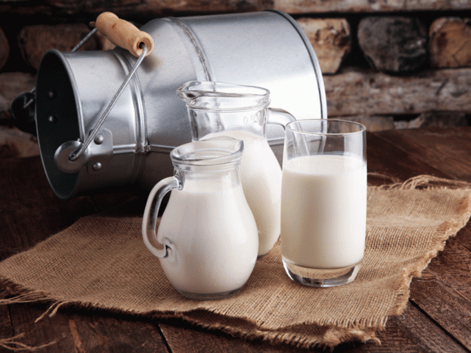 Milk can be harmful to your health, see what are the side effects ... | दुध ठरु शकते तुमच्या आरोग्यासाठी घातक, पाहा काय आहेत दुष्परिणाम... Milk can be harmful to your health, see what are the side effects ... | दुध ठरु शकते तुमच्या आरोग्यासाठी घातक, पाहा काय आहेत दुष्परिणाम...