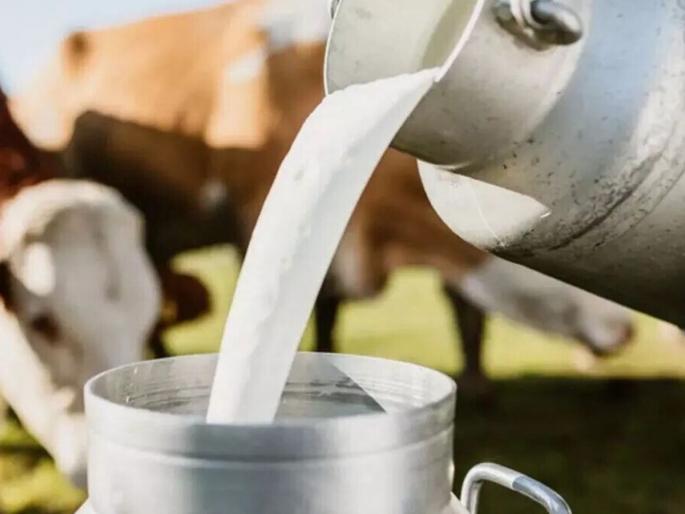 latest news Dairy development project for empowerment of tribal brothers, see process | शेतकऱ्यांनो! पथदर्शी दुग्धविकास प्रकल्प राबवायचंय, असा करा अर्ज latest news Dairy development project for empowerment of tribal brothers, see process | शेतकऱ्यांनो! पथदर्शी दुग्धविकास प्रकल्प राबवायचंय, असा करा अर्ज