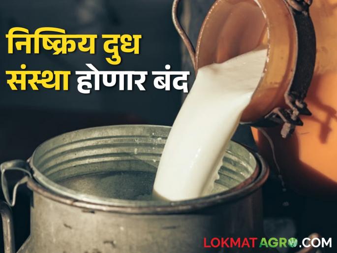 Registration of permanently closed milk and cattle organizations will be cancelled | कायमस्वरूपी बंद असलेल्या दूध व पशु संस्थांची नोंदणी होणार रद्द Registration of permanently closed milk and cattle organizations will be cancelled | कायमस्वरूपी बंद असलेल्या दूध व पशु संस्थांची नोंदणी होणार रद्द