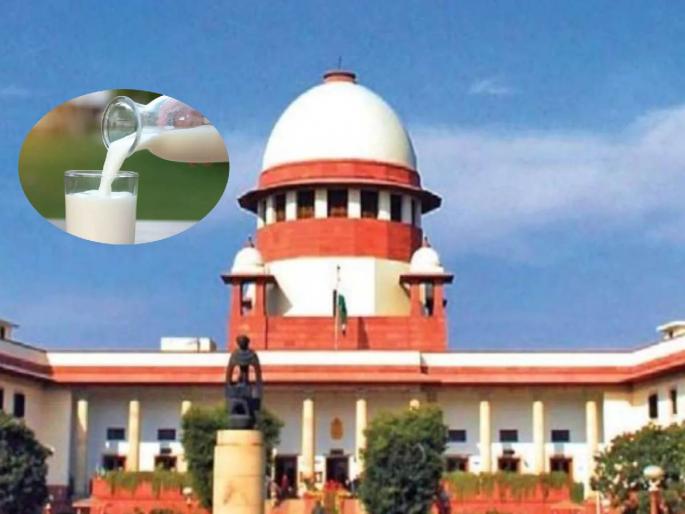 90 yrs old man appeals in supreme court against conviction in 42 yr old milk adulteration case | ४२ वर्षापूर्वीचे दूध भेसळ प्रकरण, शिक्षा! ९० वर्षांच्या आजोबांनी गाठले सर्वोच्च न्यायालय 90 yrs old man appeals in supreme court against conviction in 42 yr old milk adulteration case | ४२ वर्षापूर्वीचे दूध भेसळ प्रकरण, शिक्षा! ९० वर्षांच्या आजोबांनी गाठले सर्वोच्च न्यायालय