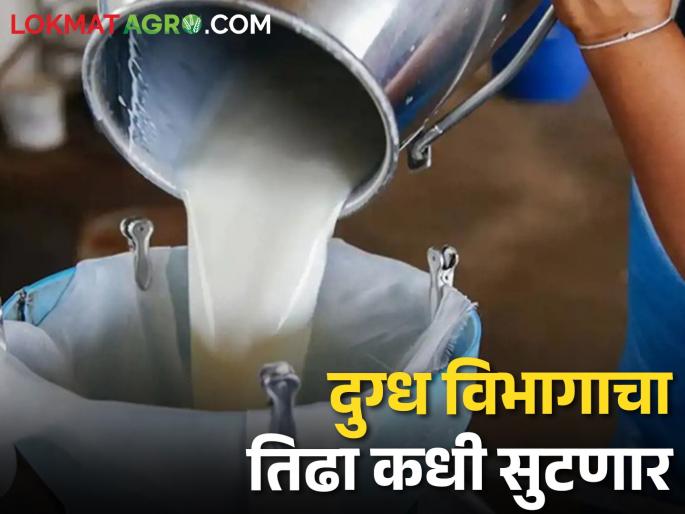 Officers, employees opposed to the dairy department merge into zilla parishad | दुग्ध विभाग जिल्हा परिषदेकडे वर्ग करण्यास अधिकारी, कर्मचाऱ्यांचा विरोध