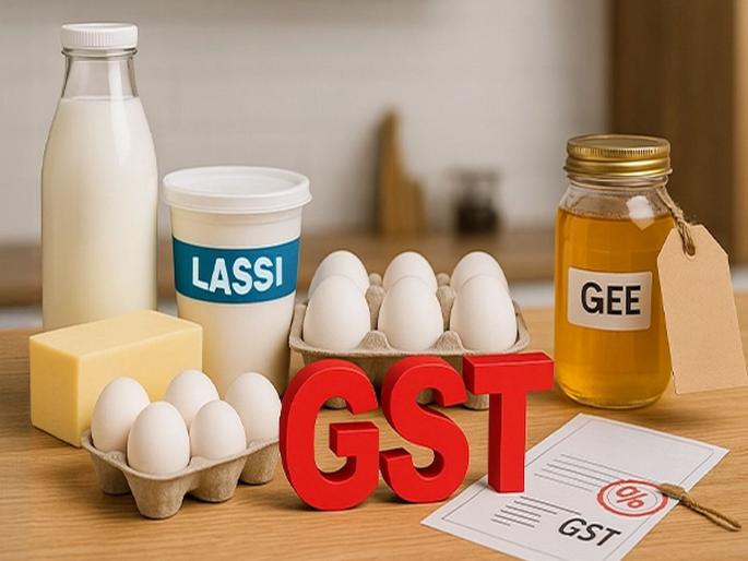 Curd, milk, butter filled with jugs...! Everything has become cheaper, Mother dairy announced even before the GST cut | दही, दूध, लोणी घागर भरूनी...! सर्व स्वस्त झाले, या मोठ्या डेअरीने GST कपातीपूर्वीच घोषणा केली