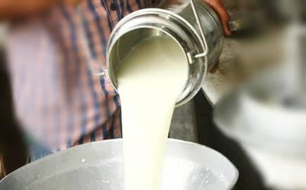 Low rate of milk; Difficult to feed the animals! | दुधाला अल्प दर; दुधाळ जनावरे पोसणे झाले कठीण! Low rate of milk; Difficult to feed the animals! | दुधाला अल्प दर; दुधाळ जनावरे पोसणे झाले कठीण!