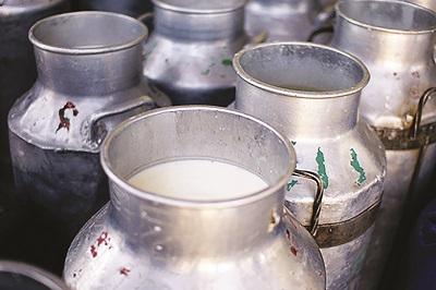 Milk Producer Farmers' agitation for rate hike | शहरांचा दूध पुरवठा रोखणार, दूध उत्पादक शेतकरी संघर्ष समिती आक्रमक