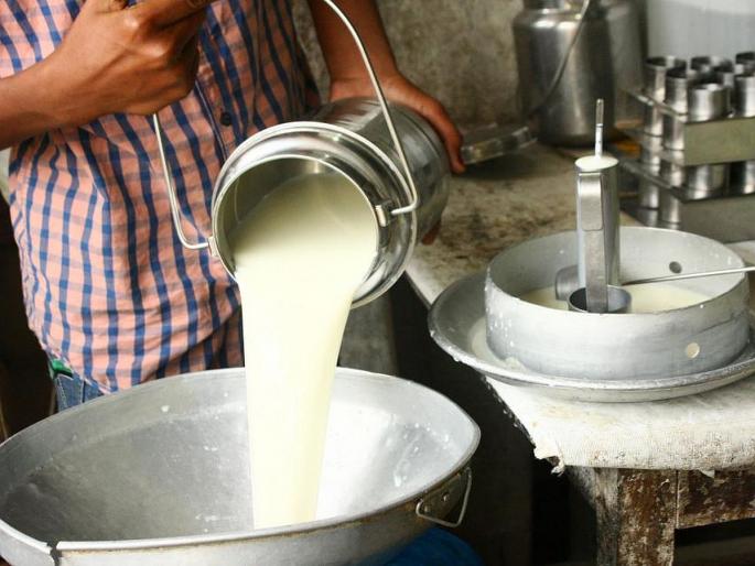 How can farmers afford to sell cow-buffalo milk? | गायी-म्हशीचे दूध विकणे शेतकऱ्यांना कसे परवडणार? How can farmers afford to sell cow-buffalo milk? | गायी-म्हशीचे दूध विकणे शेतकऱ्यांना कसे परवडणार?