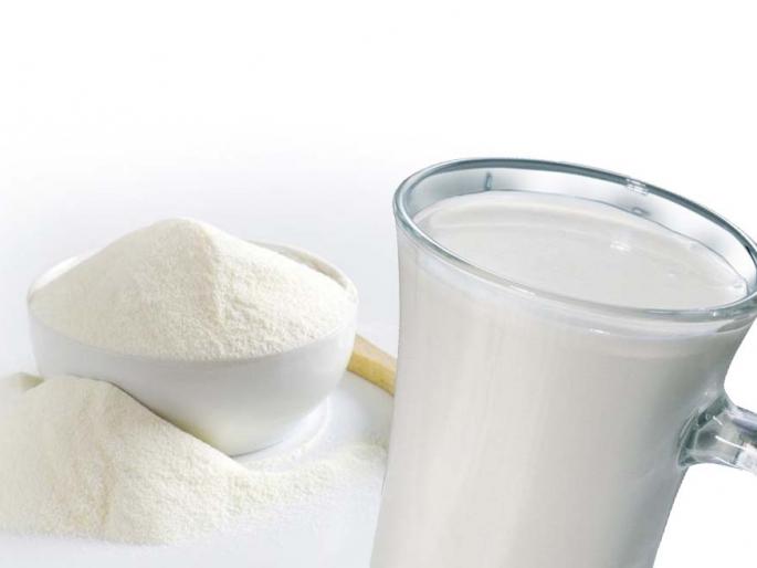 school nutrition Food- Milk should be needed except of Milk Powder | शालेय पोषण आहारात भूकटी नको, दूधच हवे! school nutrition Food- Milk should be needed except of Milk Powder | शालेय पोषण आहारात भूकटी नको, दूधच हवे!