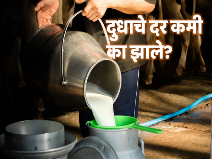 The demand for milk has decreased in the state | राज्यात दुधाची मागणी घटली The demand for milk has decreased in the state | राज्यात दुधाची मागणी घटली