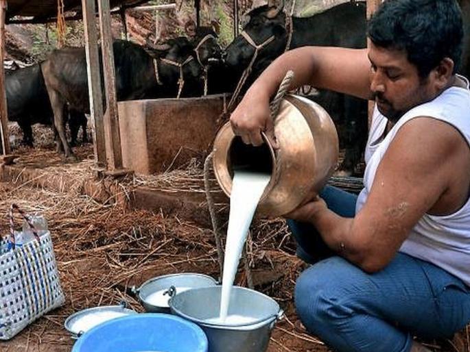 US crisis on milk producers; Prices likely to fall | दूध उत्पादक शेतकऱ्यांवर अमेरिकी संकट; दर घसरण्याची शक्यता