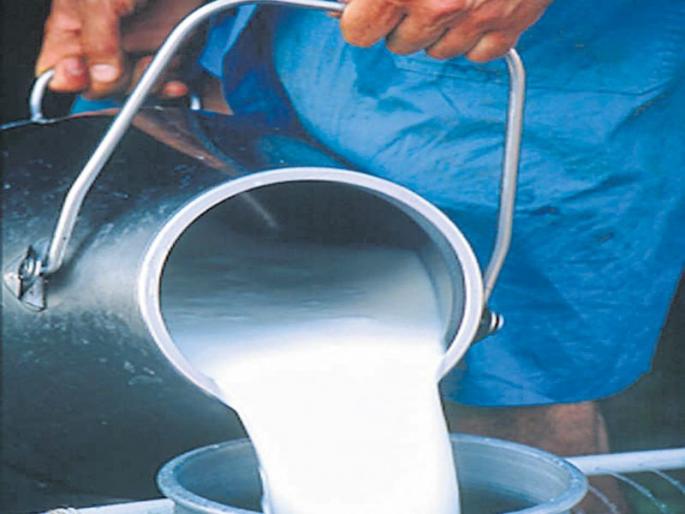 take strong measures to prevent adulteration, farmers' demand | दुध भेसळ रोखण्यासाठी कठोर पावले उचला, शेतकऱ्यांची मागणी take strong measures to prevent adulteration, farmers' demand | दुध भेसळ रोखण्यासाठी कठोर पावले उचला, शेतकऱ्यांची मागणी