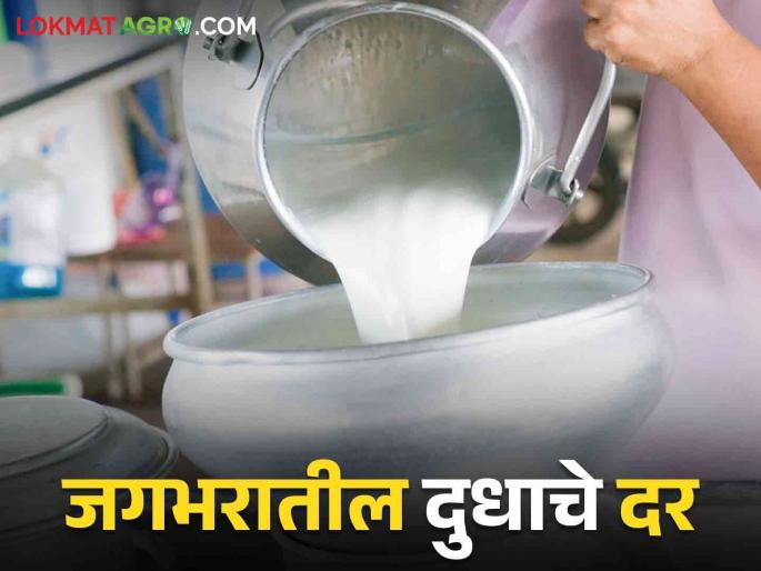 What are the current milk prices around the world? In which country milk is the most expensive | Milk Rates Around the World : जगभरात सध्या दुधाचे दर काय आहेत? कोणत्या देशात दूध सर्वात महाग What are the current milk prices around the world? In which country milk is the most expensive | Milk Rates Around the World : जगभरात सध्या दुधाचे दर काय आहेत? कोणत्या देशात दूध सर्वात महाग